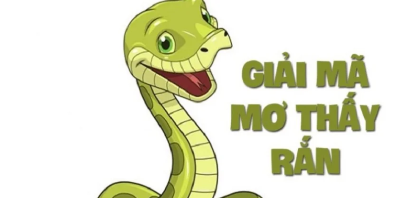 Mơ thấy rắn: Ý nghĩa sâu xa và điềm báo tiềm ẩn